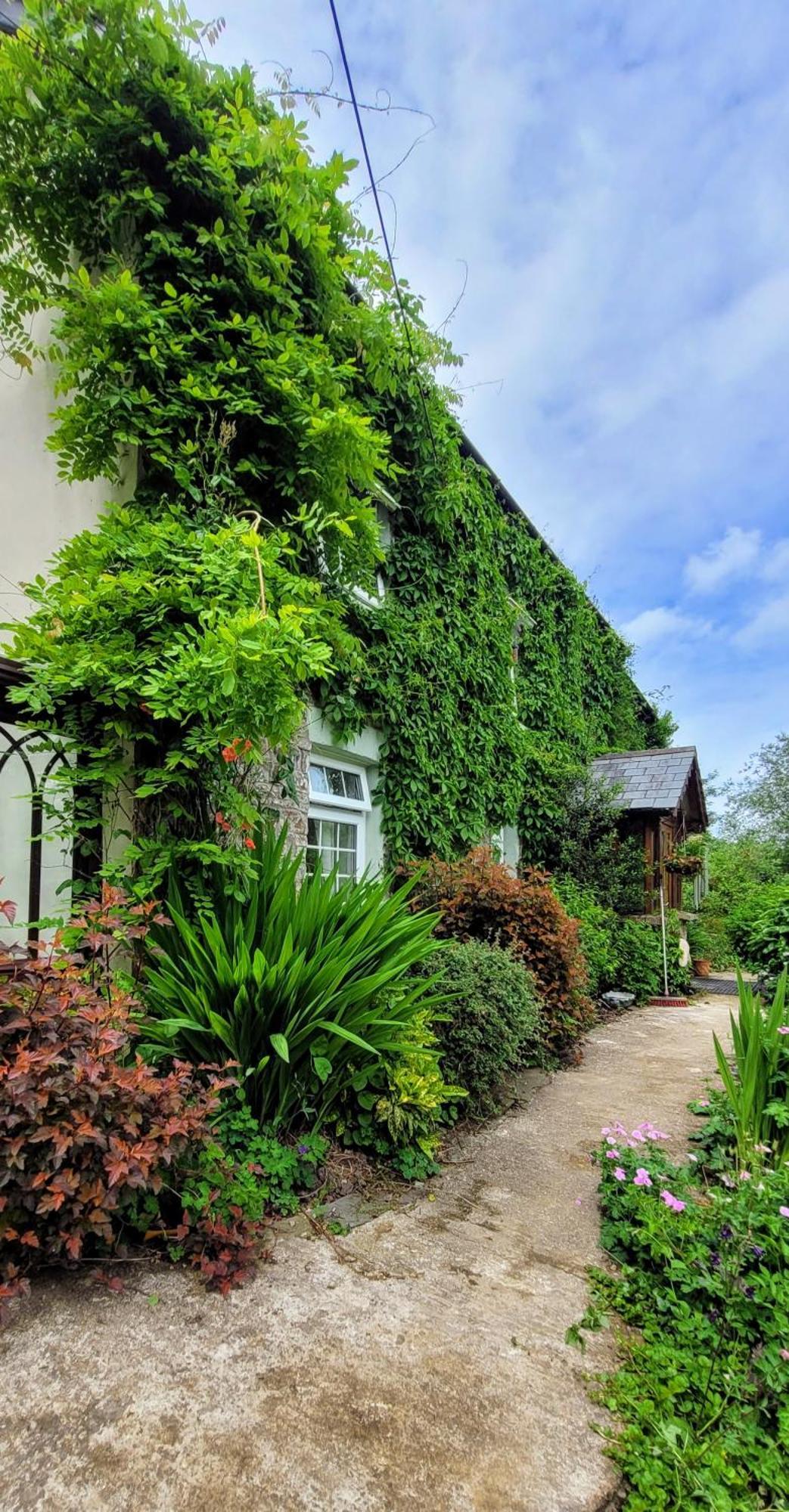 Kingsley Cottage - Beautiful Riverside Setting Beaworthy Ngoại thất bức ảnh